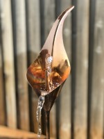 n. Lily with Dragonfly (close up).jpg